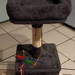 Cat Stand
