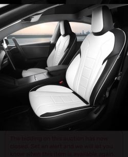 Tesla Seat Covers