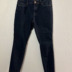 Ann Taylor Jeans 