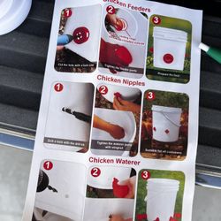 Chicken Water Cup/feeder