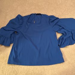 Zara Large Sleeves Top