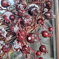 Winter Wreath