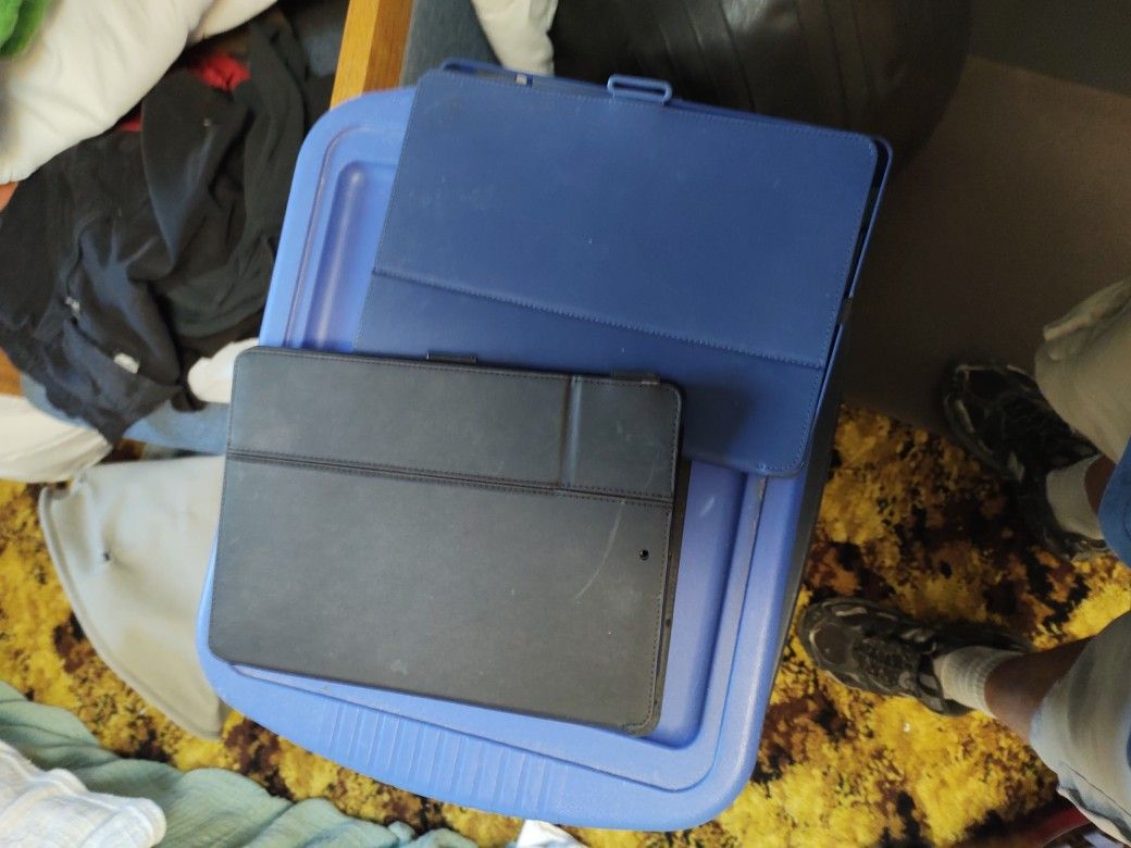 Two iPad Cases