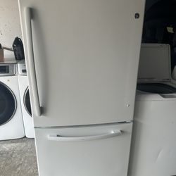 33 Wide Refrigerator 