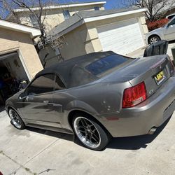 2002 Ford Mustang