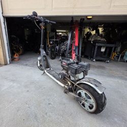 Gas Scooter