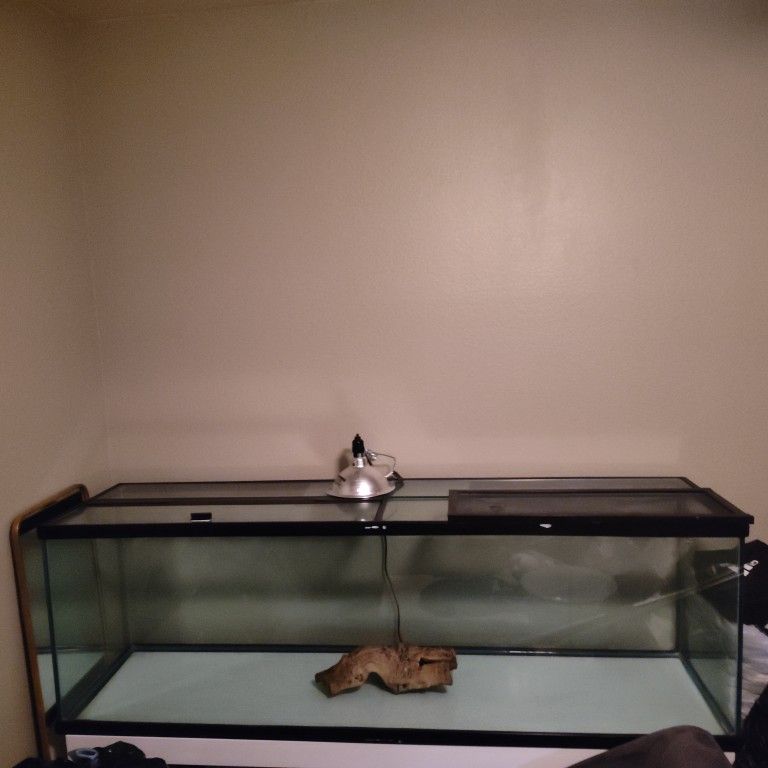 Glass Tank