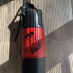 Kid Kick Punching Bag 