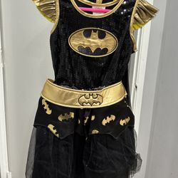 Batgirl Halloween Costume 