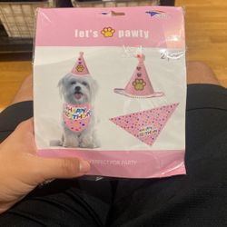 Dag birthday bandana and hat 