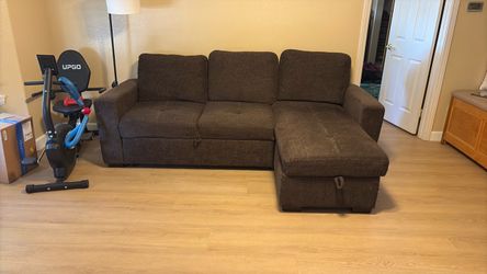 L shaped couch / pull out bed