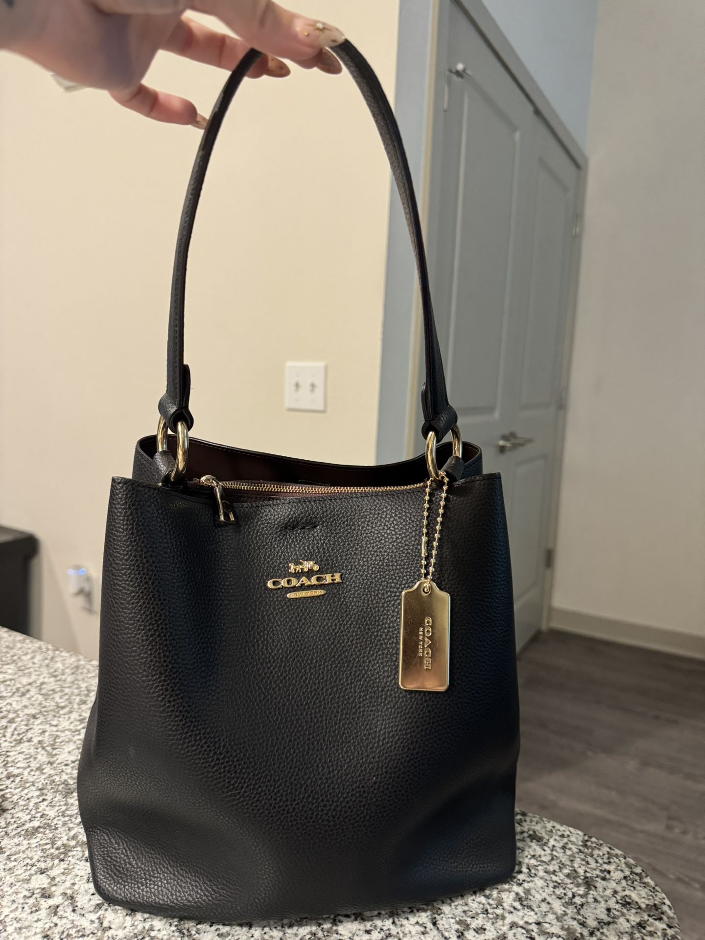 Coach Polished Pebble Leather Willow Bucket Bag