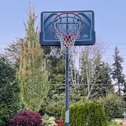 Outdoor Basketball Hoop β Strong Base, Wheels for Easy Move