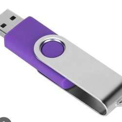 USBs pará La mamalona y bocinas