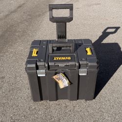 Dewalt TSTAK packout 