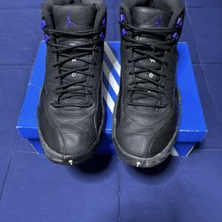 Jordan 12 Retro Dark Concord 2020  Size 10.5