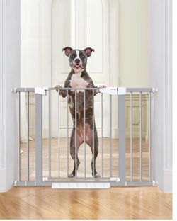 Safety gate