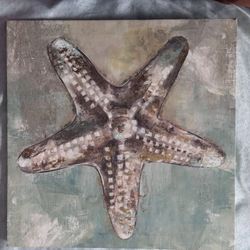 Starfish Picture
