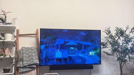 Vizio 55in TV (no tv stand)