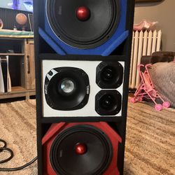 “Chuchero," Ds18 Pro 12inch Custom built for loud vocal and high-frequency sound reproducti