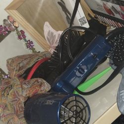 Hair Brush Blower All 2 Dollars 