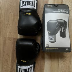 Everlast pro style Boxing Gloves 8oz. Porch Pickup 