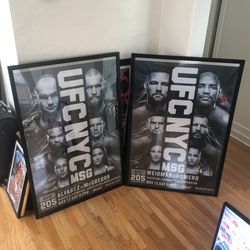 UFC 205 Poster