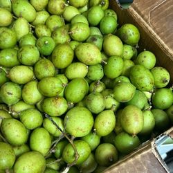 Quinep Quenepas Limoncillos Msmey Msngos Dragón Fruit 