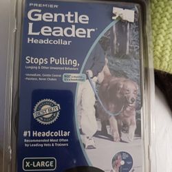 Brand New Sz Xl Gentle Leader Leash Set 10 Firm Paid 40 Look My Post Alot Item