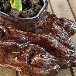 2 Pottery Pieces Logs One With a Birds Nest Plant and One With Snake Plant $30 Each