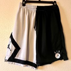 Jordan DNA Distorted Split shorts (L)