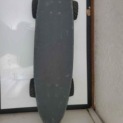 Santa Cruz Mountain Dirt Skateboard, Like New, Adult Owned,