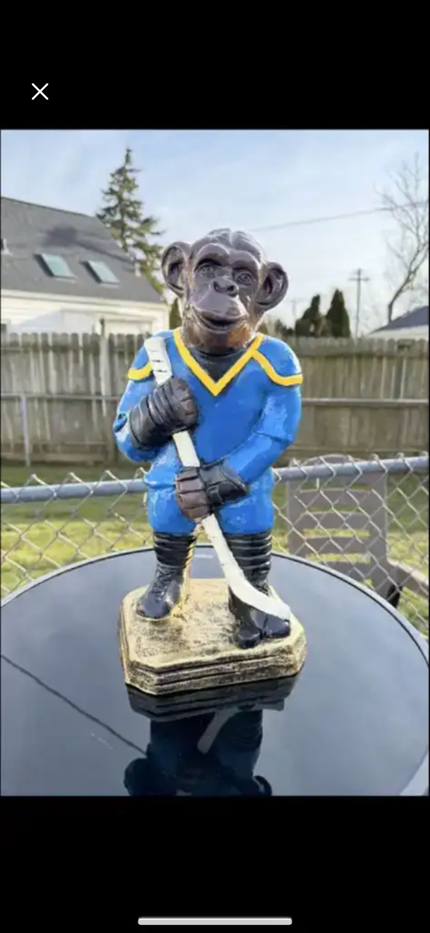 Hockey Monkey