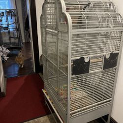 Free Bird Cage 