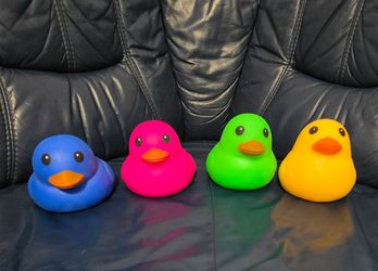 Squishy ducks