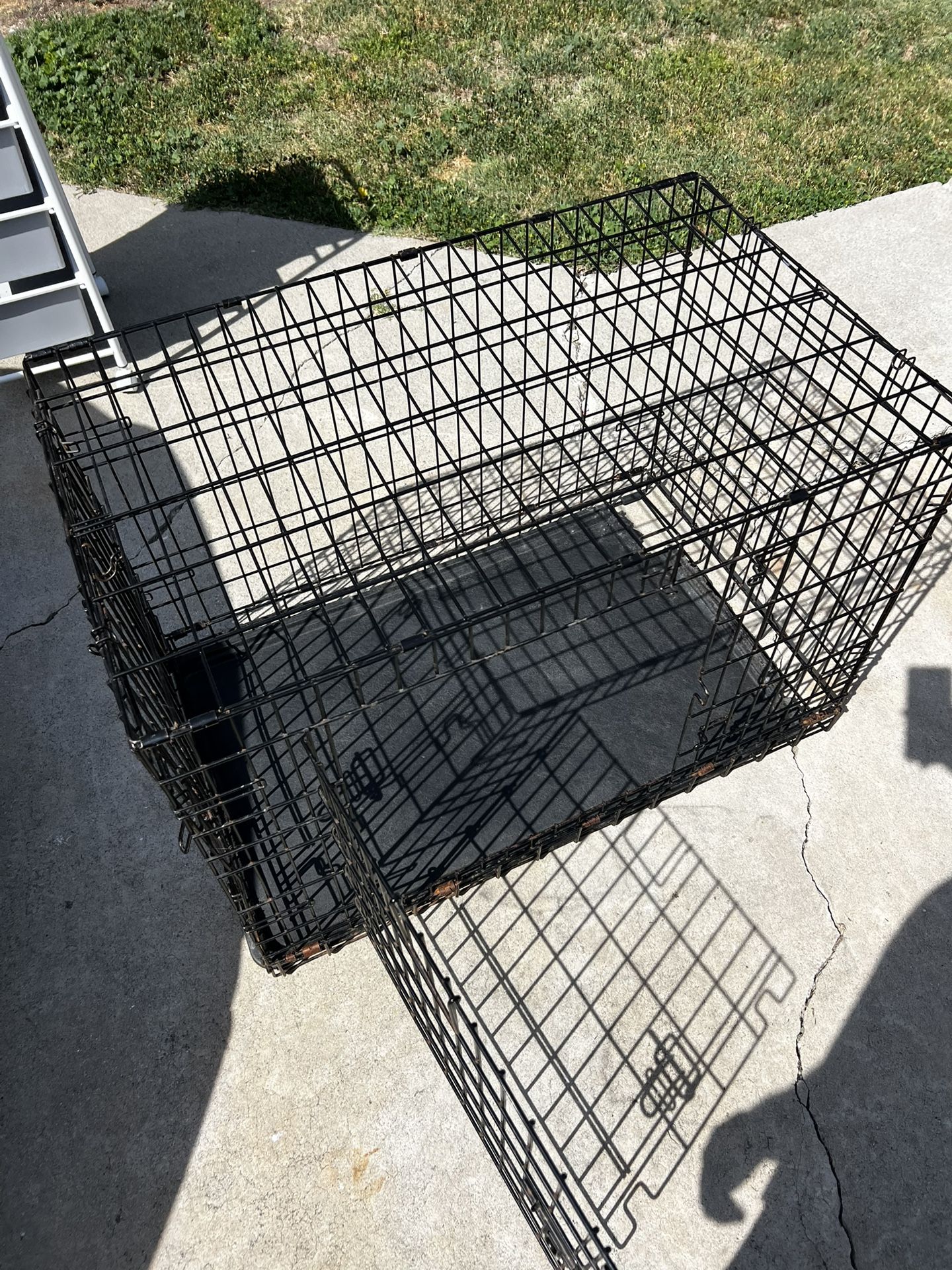 Dog Crate