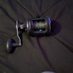 Fishing Reel