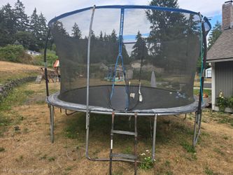 Free trampoline in puyallup