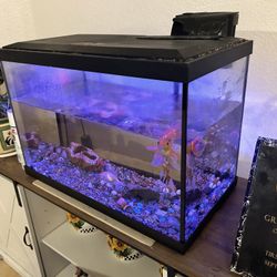 Fish Tank