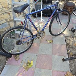 TURNEY-FREE SPIRIT 920 SERIES BICYCLE (FOR ADULTS)