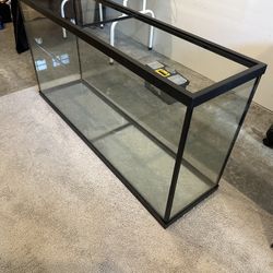55 Gallon Fish Tank