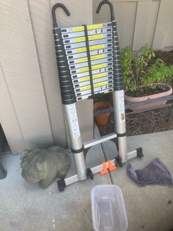Ladder