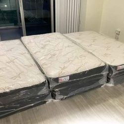 Twin Regular Mattress And Box Spring New (Only One)