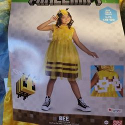Girls minecraft Bee Halloween costume size 10/12 