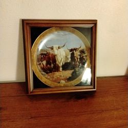 Collectable Glass Plate In Case
