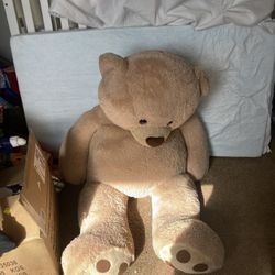 Giant Teddy Bear 