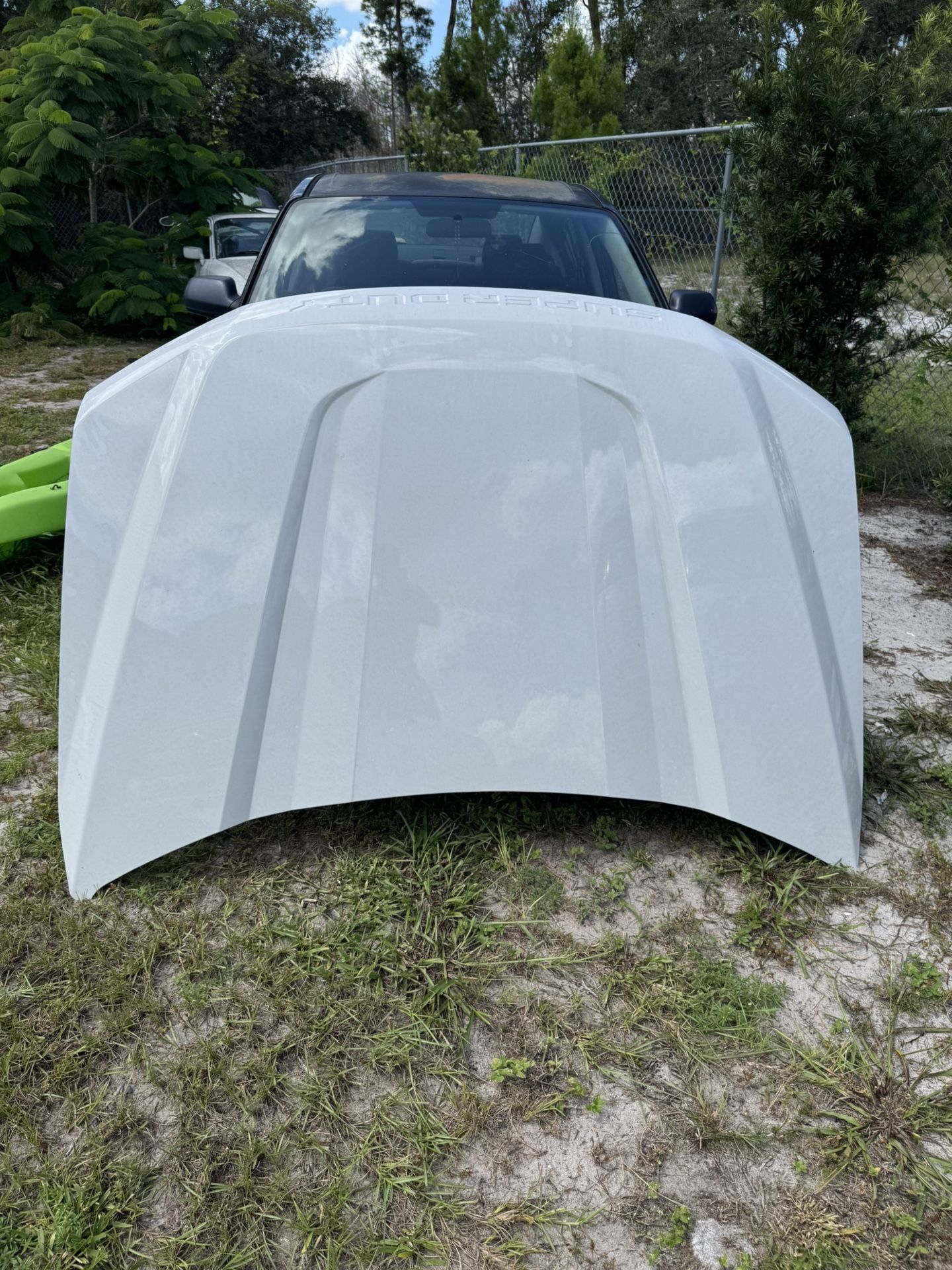 Ford F350 Hood