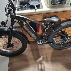 Ozark Fat Tire Ebike