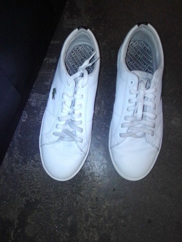 LACOSTE MENS SNEAKERS