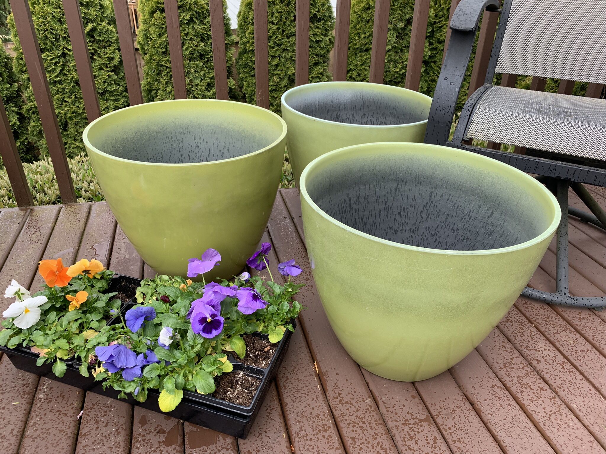 Large Resin, Lime Green Planters